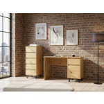 BORG biurko 1d1s/120 dąb artisan