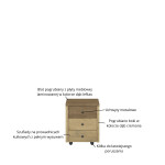 DENZEL kontener 3s dąb cremona / dąb lefkas