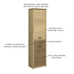 DENZEL regał 2d1s dąb cremona / dąb lefkas