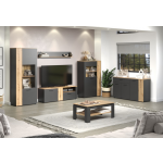 ESTEBAN witryna niska 1d1w grafit / dąb evok