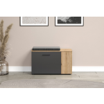 ESTEBAN szafka na buty 2d grafit / dąb evok