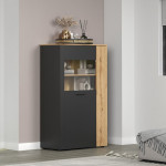 ESTEBAN witryna niska 1d1w grafit / dąb evok