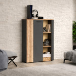  ESTEBAN witryna niska 2d1w grafit / dąb evok