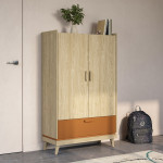 SCANDI 38 BIELIŹNIARKA 2D1S