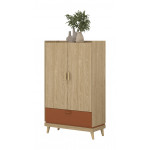 SCANDI 38 BIELIŹNIARKA 2D1S