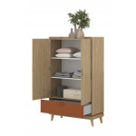 SCANDI 38 BIELIŹNIARKA 2D1S