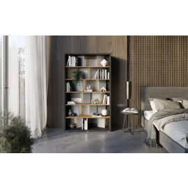 FITT FP-01 - regał z oświetleniem - grafit/dąb linearny/natura/szary połysk