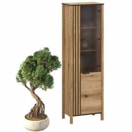 HELIX witryna 1d1w prawa dąb evok