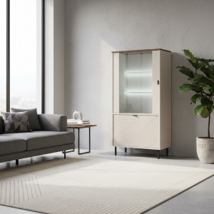 EVO witryna niska 1d1w kaszmir / dąb castello